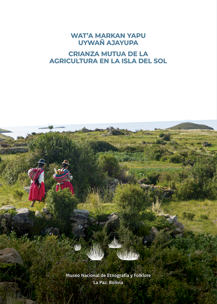 imagen del post CRIANZA MUTUA DE LA AGRICULTURA EN LA ISLA DEL SOL.